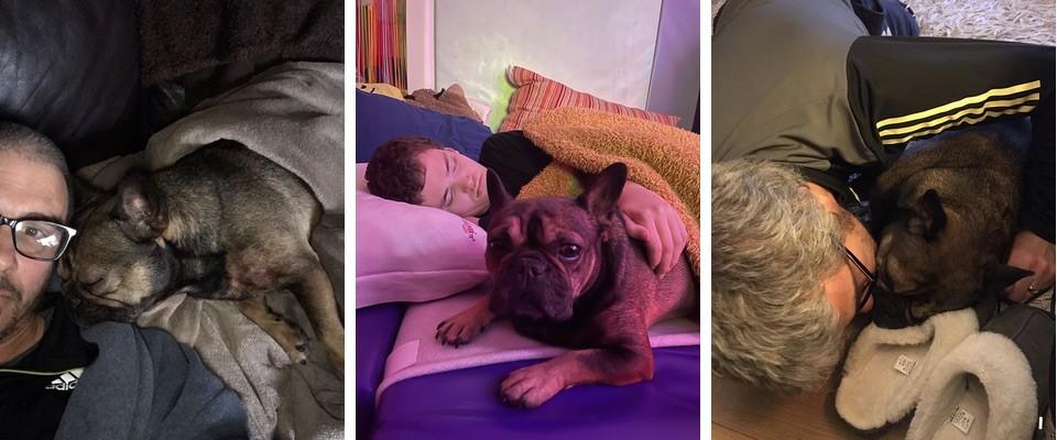 Our darling French Bulldog Pixie passed away on the 1st April 2022